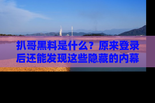 扒哥黑料是什么?原来登录后还能发现这些隐藏的内幕!