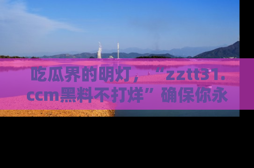 吃瓜界的明灯,“zztt31.ccm黑料不打烊”确保你永不迷路!