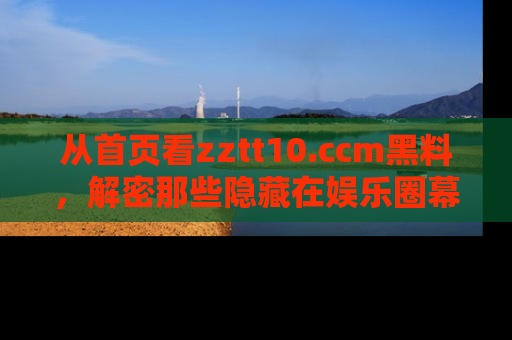 从首页看zztt10.ccm黑料，解密那些隐藏在娱乐圈幕后的丑闻故事！