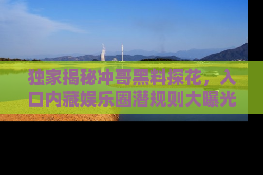 独家揭秘冲哥黑料探花，入口内藏娱乐圈潜规则大曝光