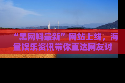 “黑网料最新”网站上线,海量娱乐资讯带你直达网友讨论的中心!