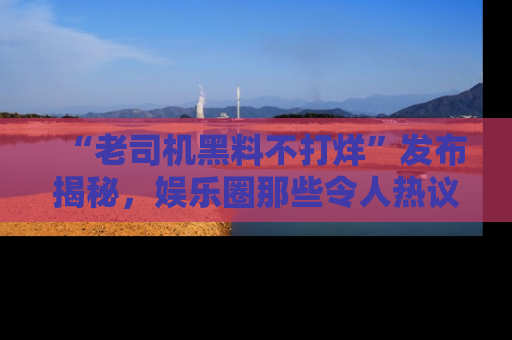 “老司机黑料不打烊”发布揭秘,娱乐圈那些令人热议的黑暗秘密!