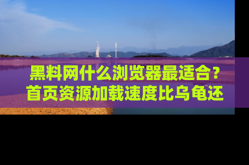 黑料网什么浏览器最适合？首页资源加载速度比乌龟还慢的体验真心吐槽！