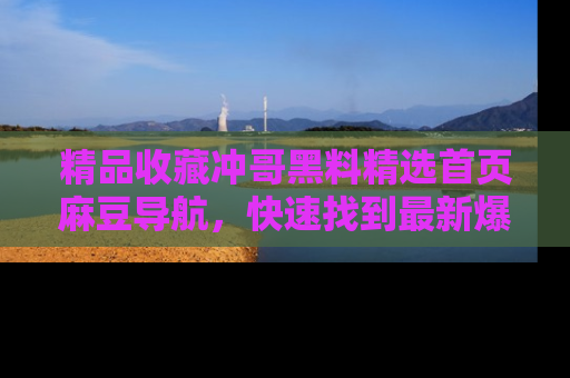 精品收藏冲哥黑料精选首页麻豆导航，快速找到最新爆料