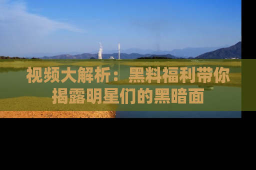 视频大解析：黑料福利带你揭露明星们的黑暗面