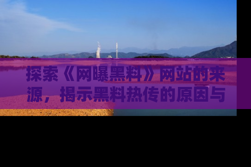 探索《网曝黑料》网站的来源，揭示黑料热传的原因与影响