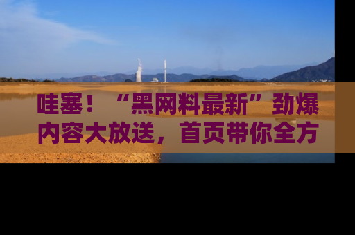 哇塞！“黑网料最新”劲爆内容大放送，首页带你全方位了解哦，小可爱们