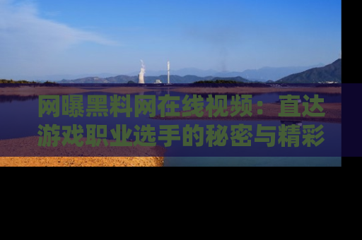 网曝黑料网在线视频：直达游戏职业选手的秘密与精彩动漫片段！