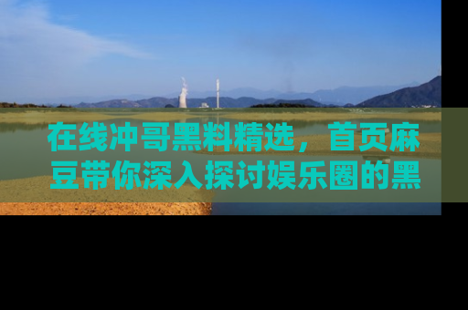 在线冲哥黑料精选，首页麻豆带你深入探讨娱乐圈的黑暗面
