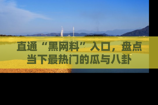 直通“黑网料”入口,盘点当下最热门的瓜与八卦